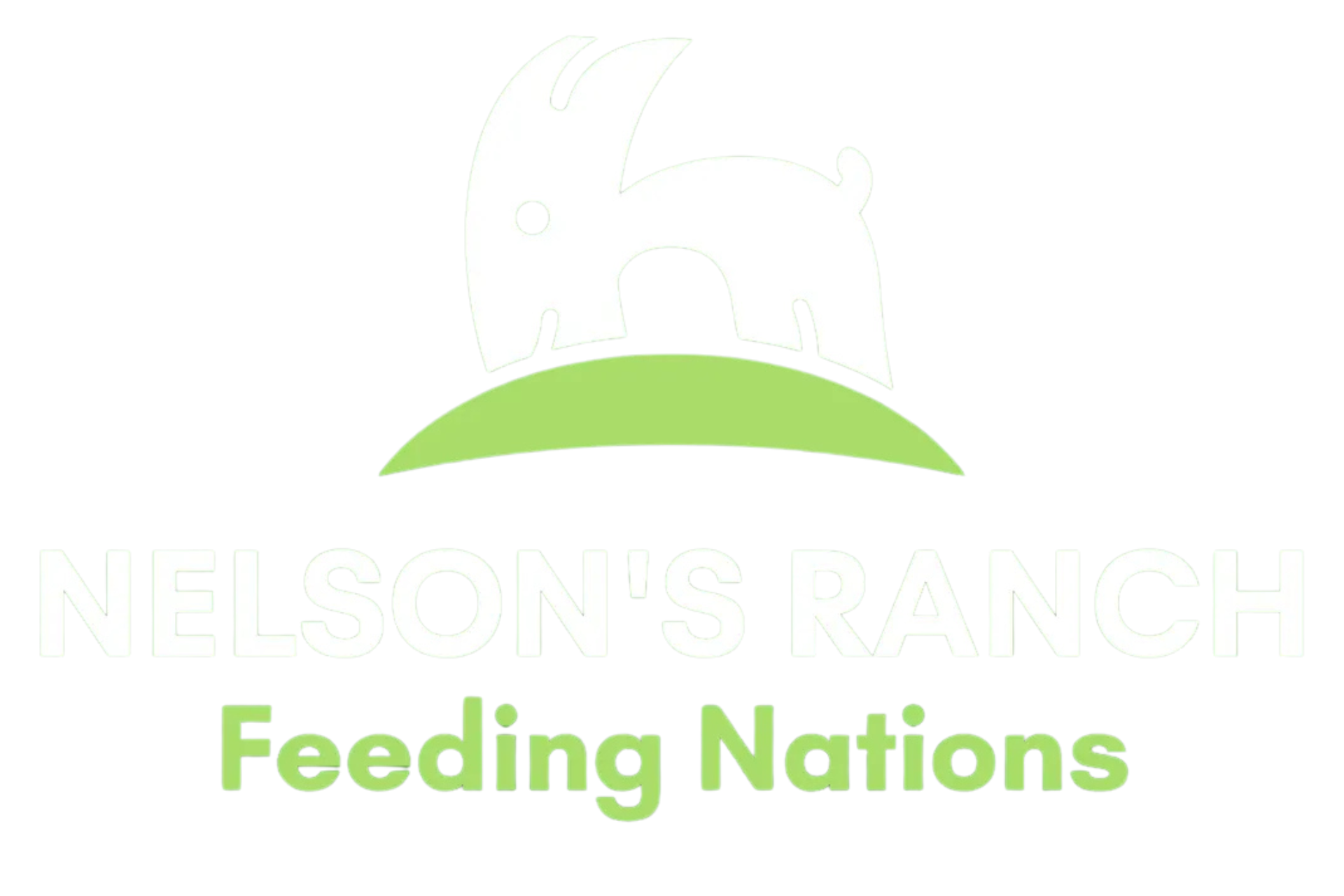 Nelsons Ranch Limited
